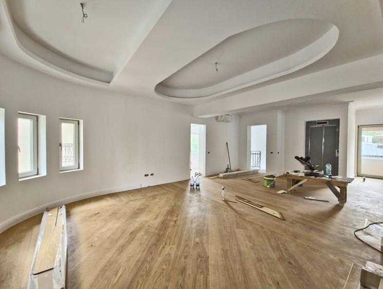 Vila complet refacuta, 250 mp curte ,  Aviatorilor - 4