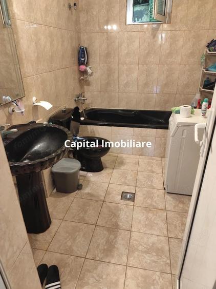 Vila superba 7 camere, Provita de Jos, 22.000 mp teren - 10