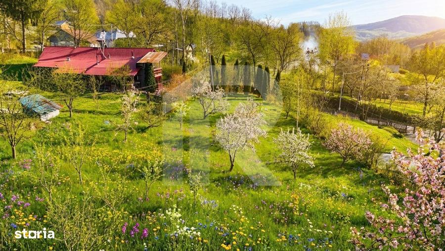 Teren intravilan Slanic Prahova - 1