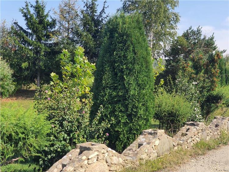 Teren intravilan Sacel -zona lacuri -ultimul lot de 900mp - 22