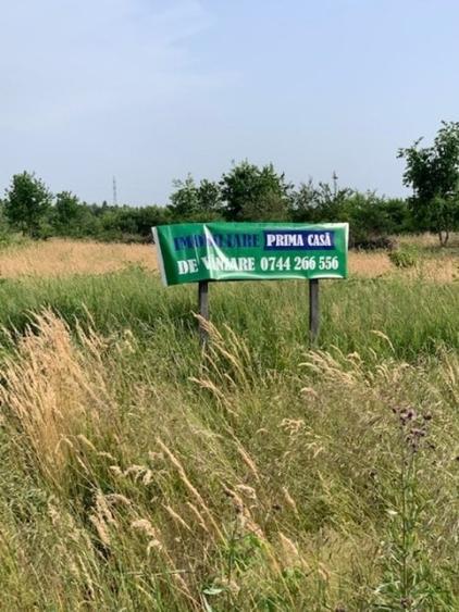 TEREN DUMBRAVEI Loturi a cate 635mp+ cota drum! - 4