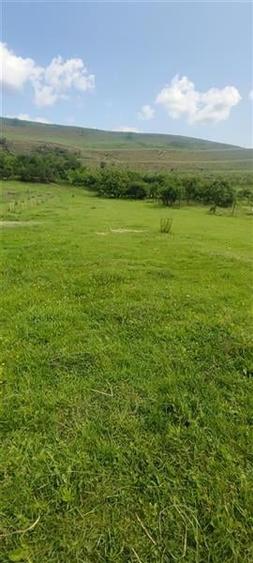 Casa cu teren 2741 MP la doar 6 km de Bod in Araci sau schimb cu apartament in B - 3