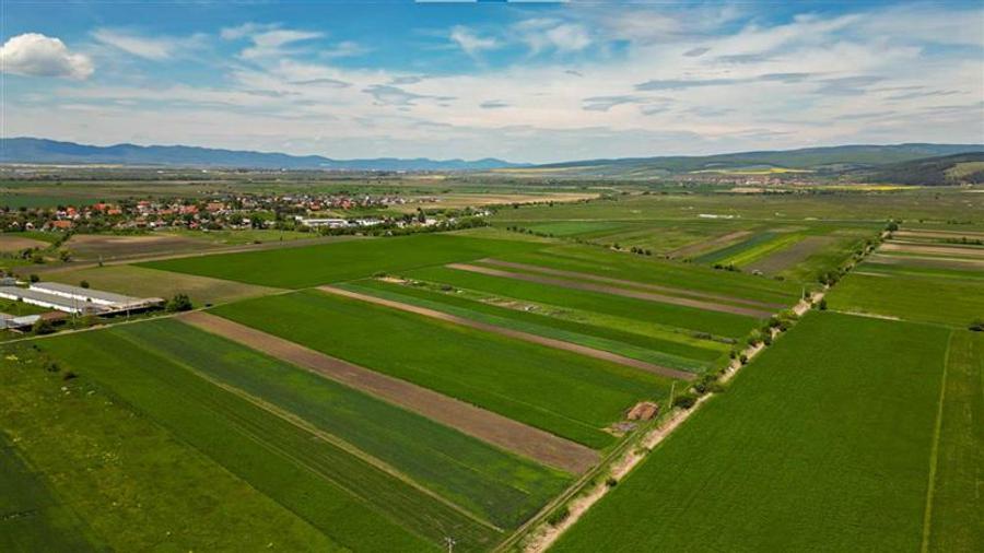 FILM! Teren extravilan 5.000 mp in zona linistita cu acces facil, Bod, Brasov - 5