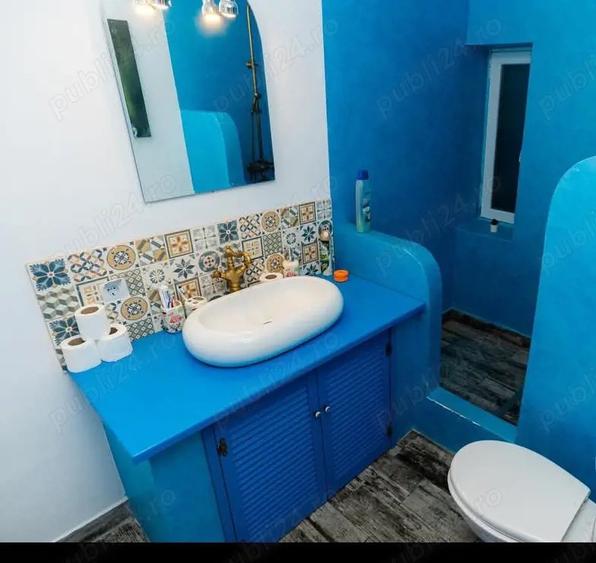 Casa de vacan?a pensiune - 6