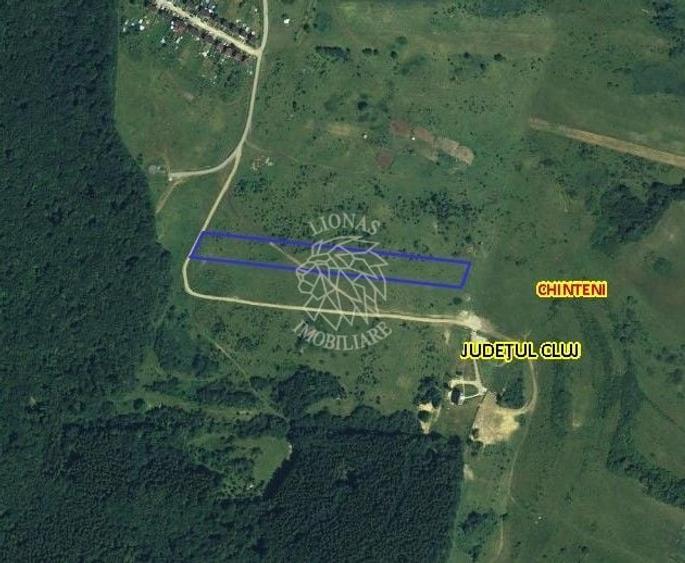 Teren 10000mp intravilan Chinteni 14 case aprobate  Investiție dezvoltator - 3