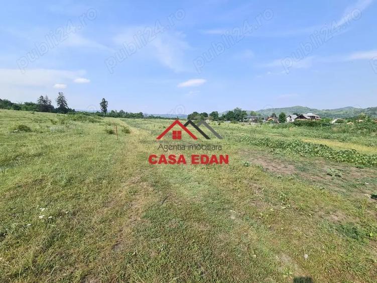 Teren intravilan in Campina, 7500mp--35e - 10