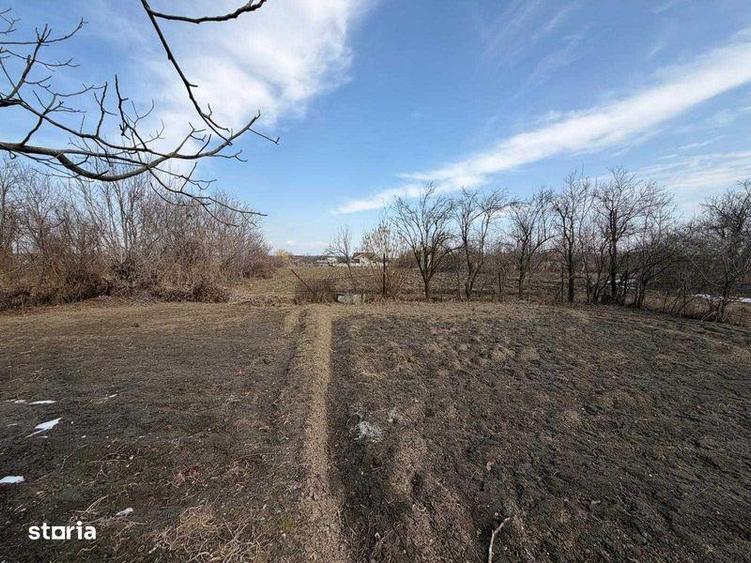 Casa batraneasca de vanzare - 7