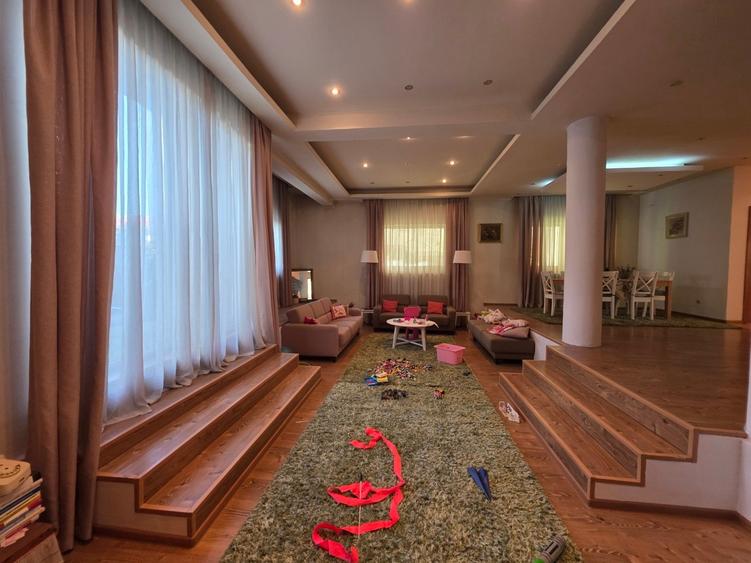 Dristor, Camil Ressu, 15 minute metrou, pe strada Ilioara - 4