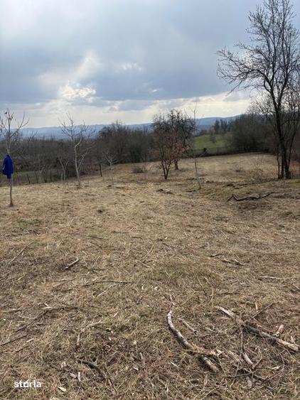 Vand teren in Rosia - 3