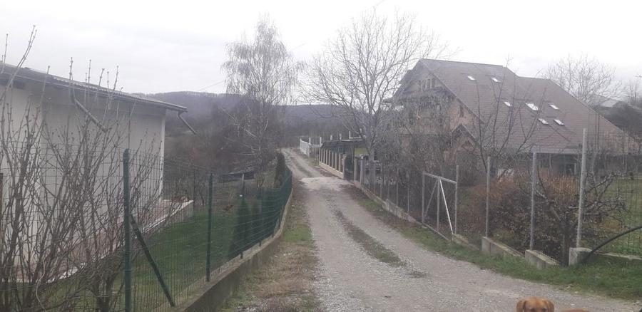 Teren Vladesti Priporu - 6