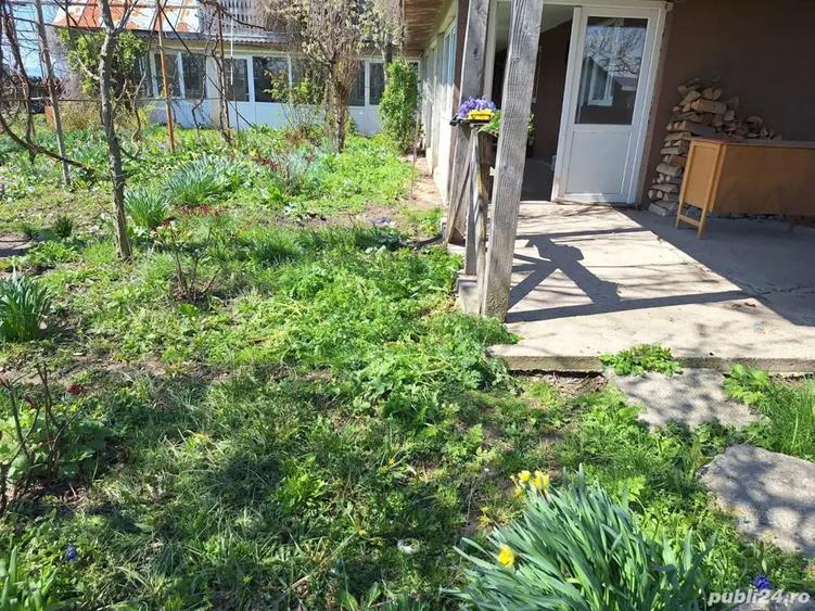 A 24 case 10000 mp teren Seciuieni Bacau - 1