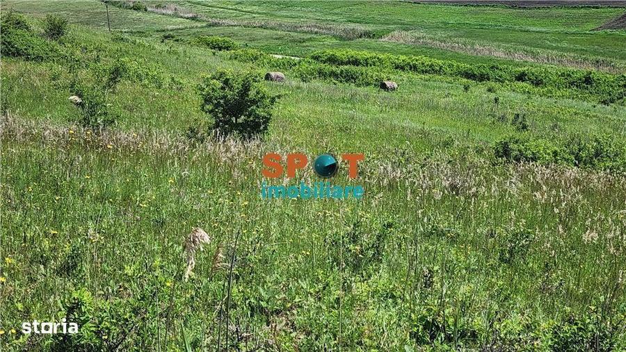 Teren extravilan 2.5 ha investitie ideala, sat Visa - 2