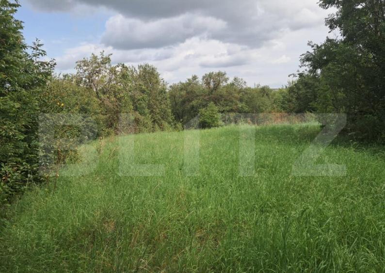 Teren Intravilan 2861 Mp Zona Tureni - 2