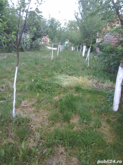 Casa cu teren comuna Ludos judetul Sibiu la numai 8km de autostrada Sibiu Sebes Deva. - 9