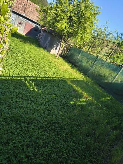 Casa de vanzare in Porumbeni liniste, natura si confort, la doar ~20 minute de Targu Mures - 2