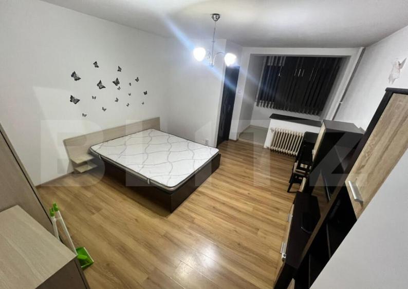 Garsoniera Brazda lui Novac - 1