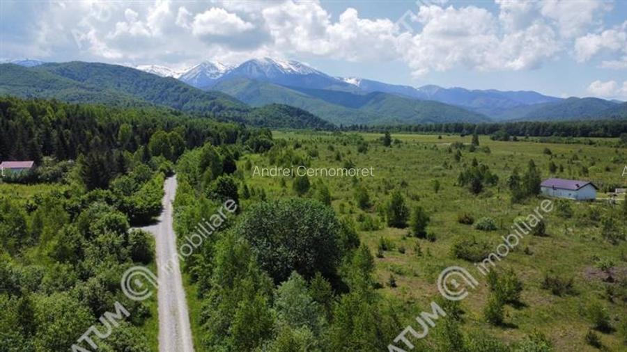 Teren intravilan 1000 mp de vanzare pe Valea Avrigului