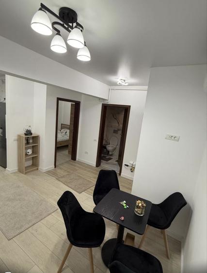 Studio Apartament de inchiriat , parter cu gradina proprie ,pet friendly - 5