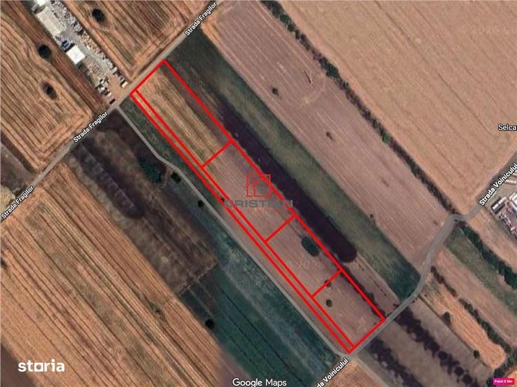 Vanzare teren industrial Magurele - Varteju - Centura, ILFOV - 3