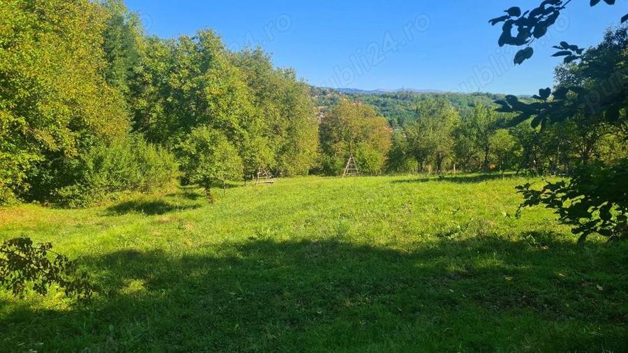 Casa la ro?u + 4391 mp teren de vanzare in comuna Valea Danului, sat Borobane?ti, jude? Arge?. - 5