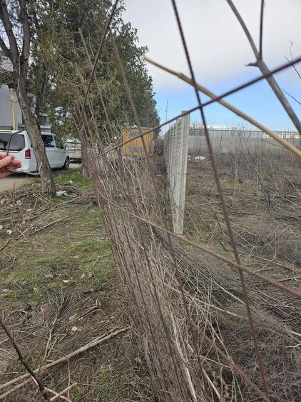 2500 mp teren industrial   stradal Popesti Leordeni - 7