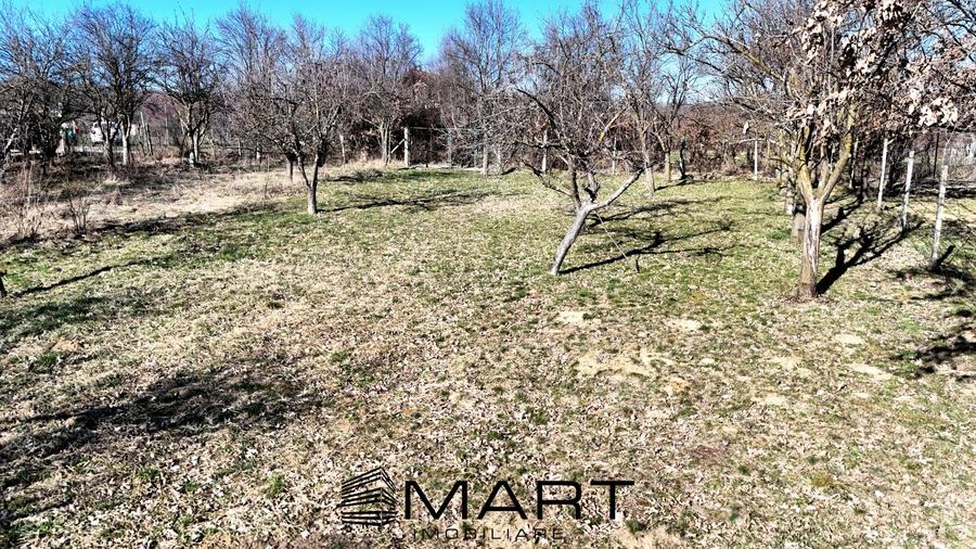 Teren intravilan 1000mp Tropinii Noi - 4