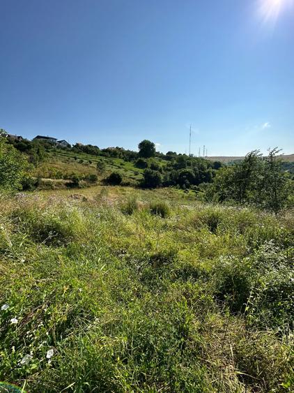 Teren de vanzare in Feleac, Intravilan - 7