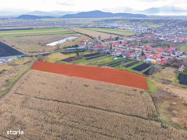 Teren extravilan Bod, 10.000 mp, acces DE 290, zona spre Harman - 7