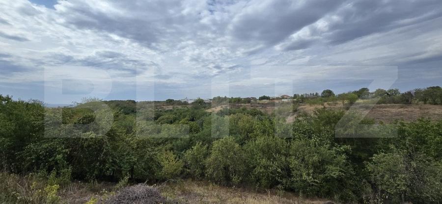 Teren 579 mp si deschidere de 14 ml, zona Carcea - 1