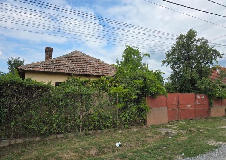 RECO IMOBILIARE CASA BATRANEASCA TINCA - 13