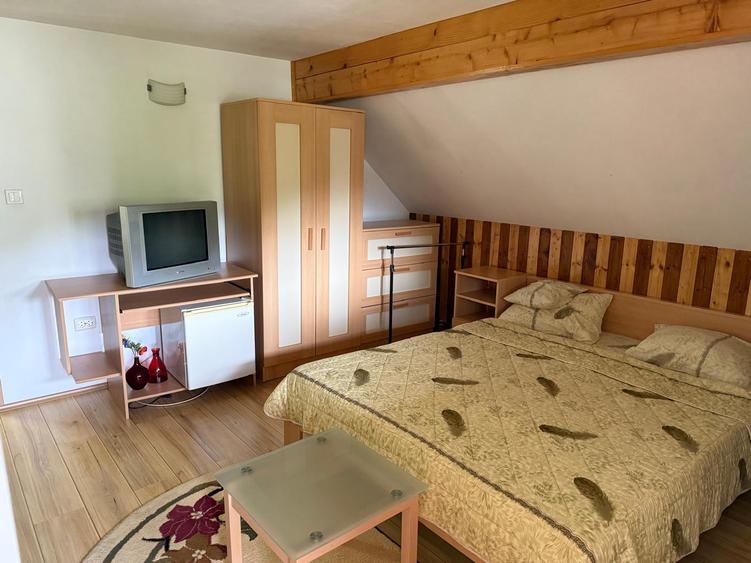 VANZARE CASA TIP PENSIUNE - 19