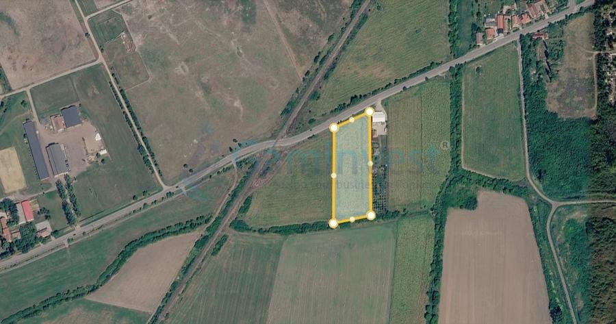 Teren Construcții intravilan de 9800 mp, în Salonta