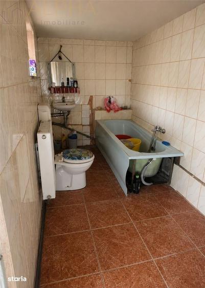 Casă cu 3 camere în Viișoara