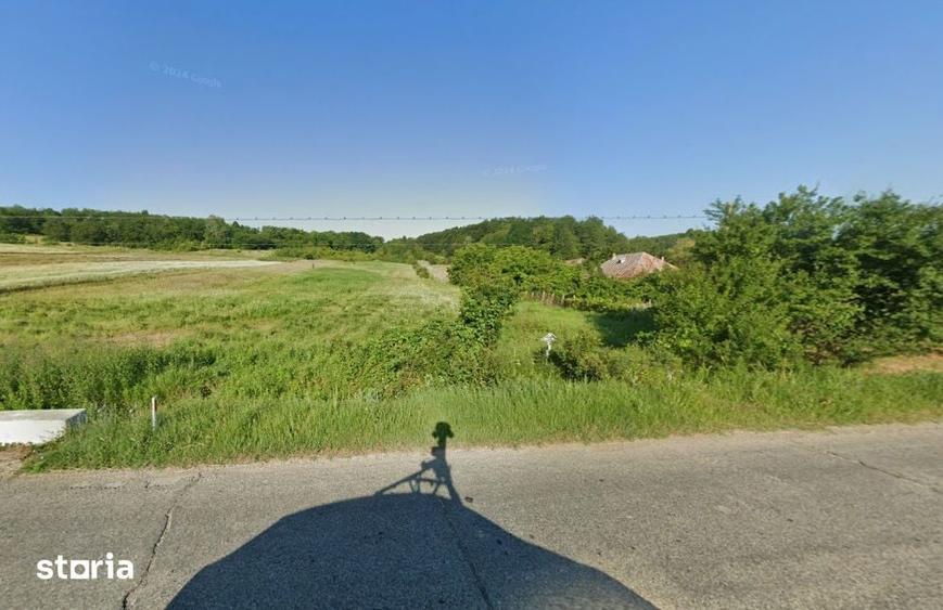 Teren de 7500 mp, în Zătreni
