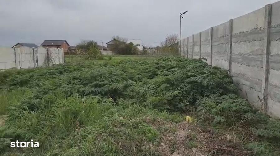 Teren de 3000 mp, în Cazasu