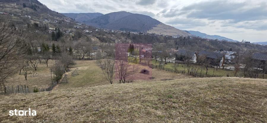 Teren de 2500 mp, în Valea Doftanei