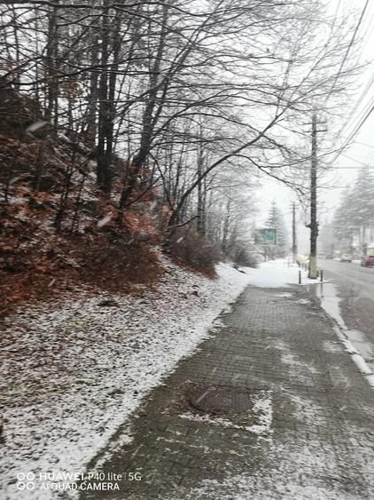 Teren intravilan situat in Busteni - 7