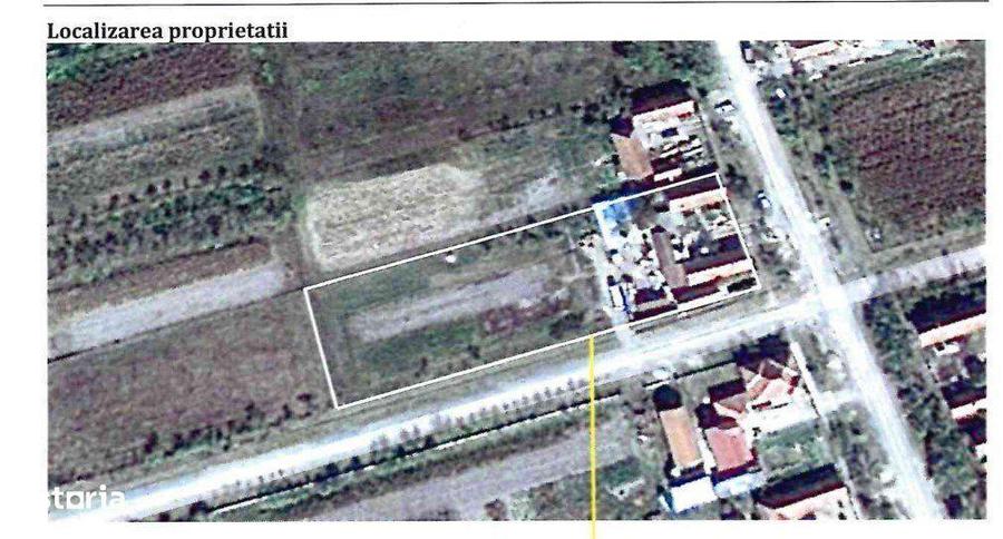 2 Case P - 123mp + 70mp + Teren-2.302 mp + Anexe, Sanovita - 1