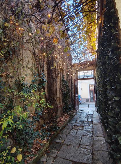 DE VÂNZARE – Spațiu de alimentație publică 53mp+111mp teren - 16