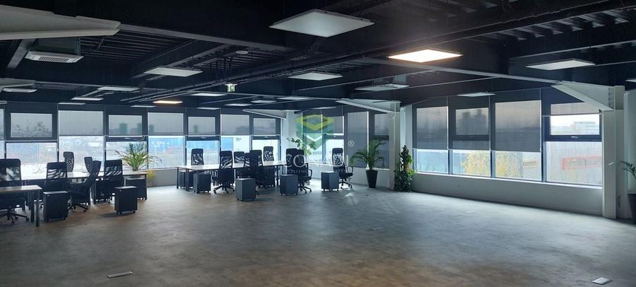 MOGOSOAIA CENTURA |READY TO MOVE IN I HALA depozitare si birouri - 4