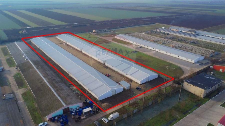 De închiriat -2 hale industriale, 5.050 mp utili, Palota , acces TIR - 1