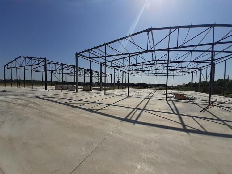 Hale noi in zona Gara Catelu, Drumul Intre Tarlale - 1