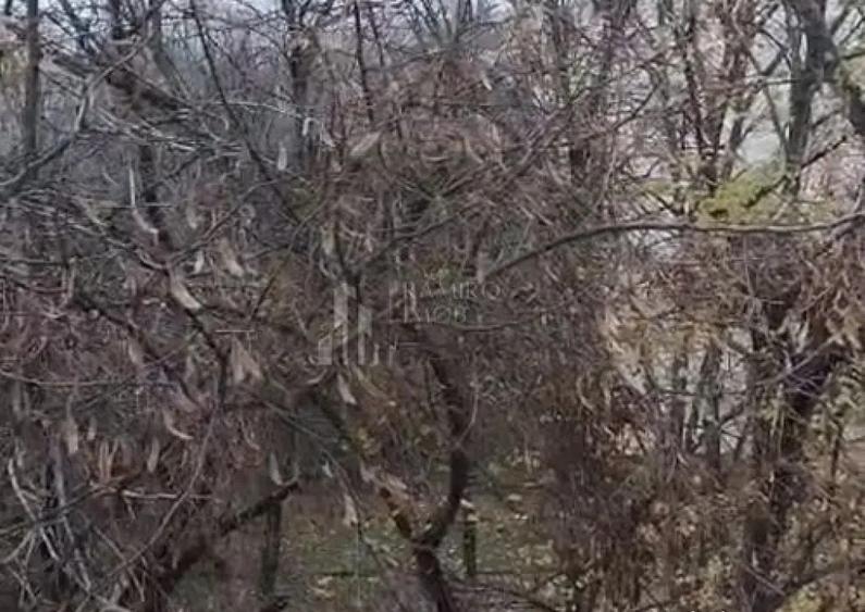 3 camere 5 MINUTE METROU 1 DECEMBRIE 1918 DE RENOVAT - 4