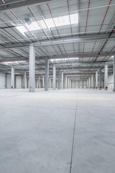 Spațiu industrial, 249500 mp în Chitila - 2