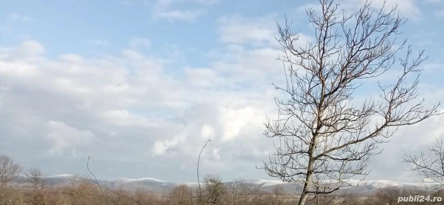 Casa vanzare Doclin ,Caras Severin .Pre? 40.000 euro - 7