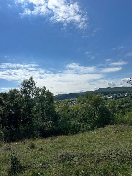Teren 3.552 mp de vanzare (scrie pe whatsapp) Marginea, zona Dealu Fatului - 4