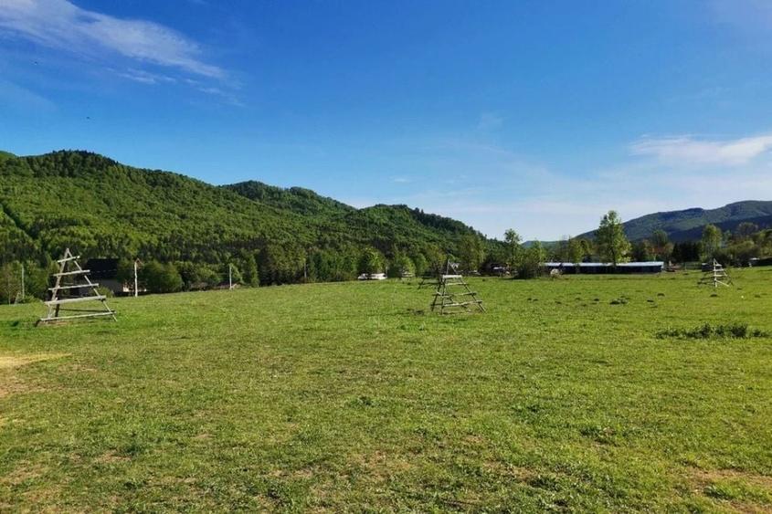 TEREN | 4.000 mp (2 loturi) | Valea Doftanei - 3