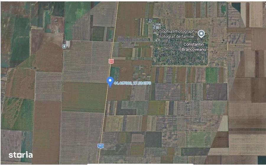 Teren extravilan Dragalina, cota parte 1/2, ID: R2992764 - 3