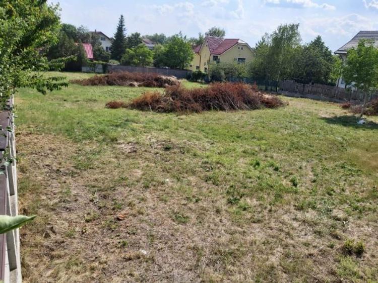 Proprietar, vand teren intravilan Mogosoaia, zona FRF - 6