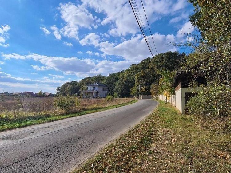 Corbeanca Padure 721 mp - 4